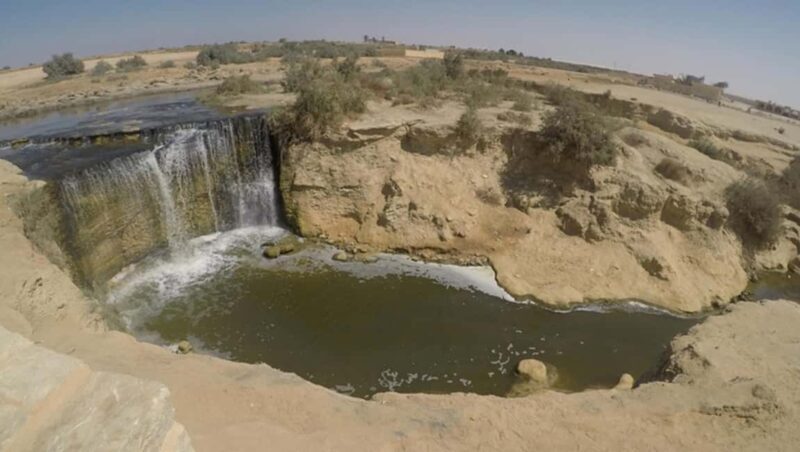 Cairo: Fayoum, Wadi El Rayan, and Wadi al Hitan 4x4 Tour - What to Expect on the Day