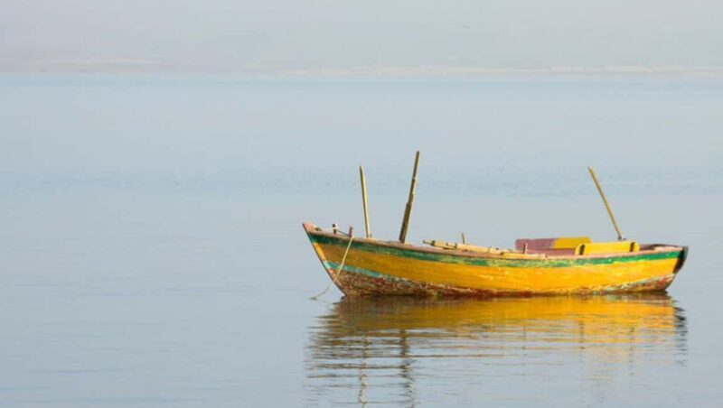 Cairo: Fayoum, Wadi El Rayan, and Wadi al Hitan 4x4 Tour - Who Would Love This Tour?