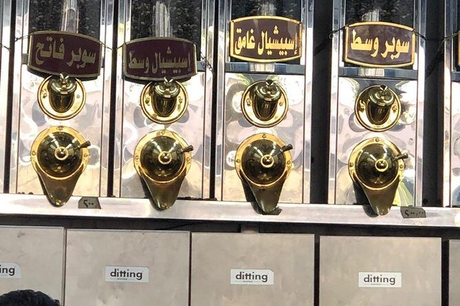 Cairo Food Tour- Shwarma, Falafel, Egyptian Koshare... - Who This Tour Is Best For