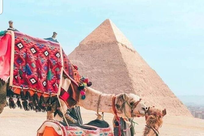 Cairo full Day from Sharm El Sheikh Pyramids, Museum, Lunch - FAQ