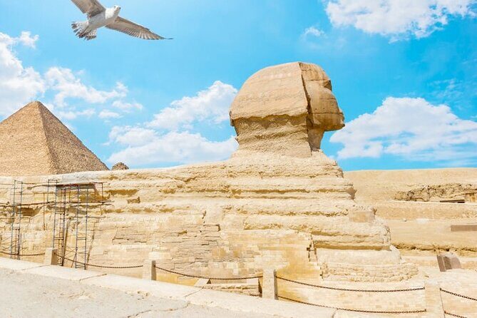 Cairo &Giza VIP 8 hours tour Pyramids, Museum,expert Guide,pickup - In The Sum Up: Is This Tour Worth It?