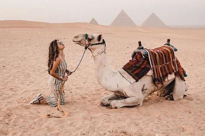Cairo: Grand Egyptian Museum, Giza Pyramids and Sphinx Tour - Key Points