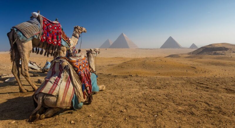Cairo: Great Pyramids of Giza and Egyptian Museum Tour - Transportation, Guides, and Pricing