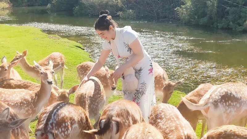 Cairo: Guided Day Trip to Africa Safari Park with Lunch - Key Points