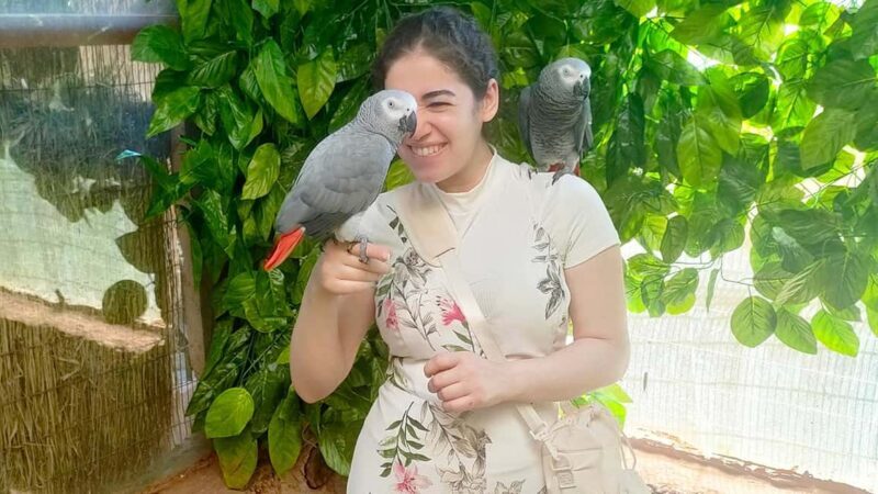 Cairo: Guided Day Trip to Africa Safari Park with Lunch - What to Expect on Your Safari Day