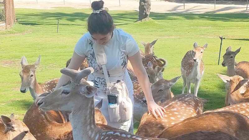 Cairo: Guided Day Trip to Africa Safari Park with Lunch - Practical Tips for Your Visit