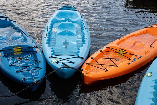 Cairo Kayak on The Nile River - Who Will Love This Tour?