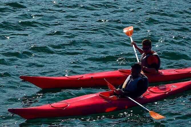 Cairo Kayak on The Nile River - Who Should Consider This Tour?