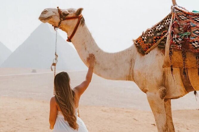 Cairo Layover Giza Pyramids & Sphinx with private tour Guide - Reviews: Authentic Voices