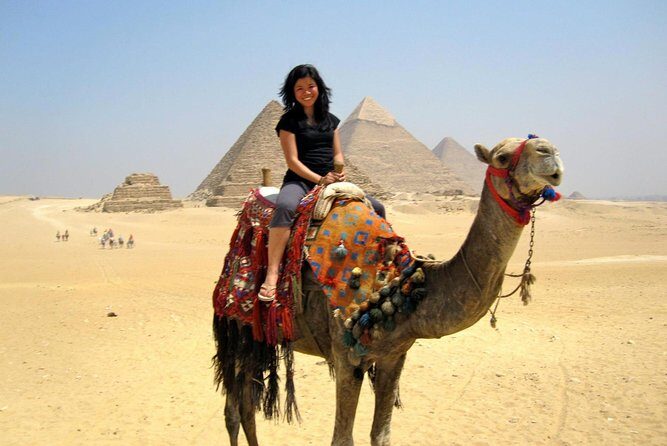 Cairo Layover Tours To Giza Pyramids Egyptian Museum Bazaar Sound And Light Show - What Could Be Better?