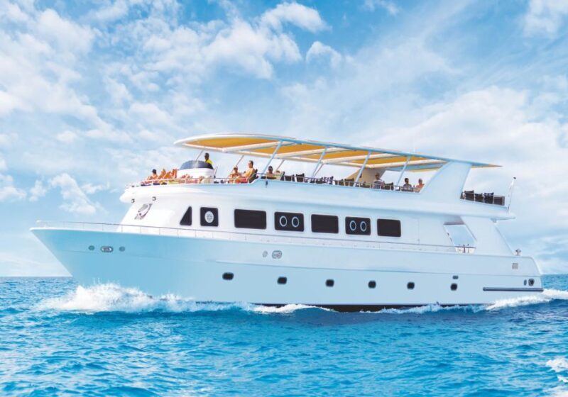 Cairo: Luxury Snorkeling Cruise & lunch with optional pickup - A Practical Overview of the Snorkeling Cruise Experience