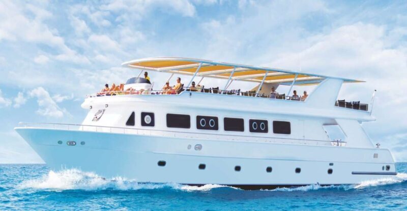 Cairo: Luxury Snorkeling Cruise & lunch with optional pickup - Why This Trip Works for Travelers