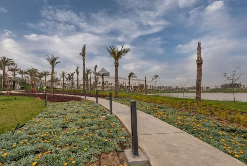 Cairo: National Museum and Egyptian Museum Tour with Lunch - The Sum Up: Is It Right for You?