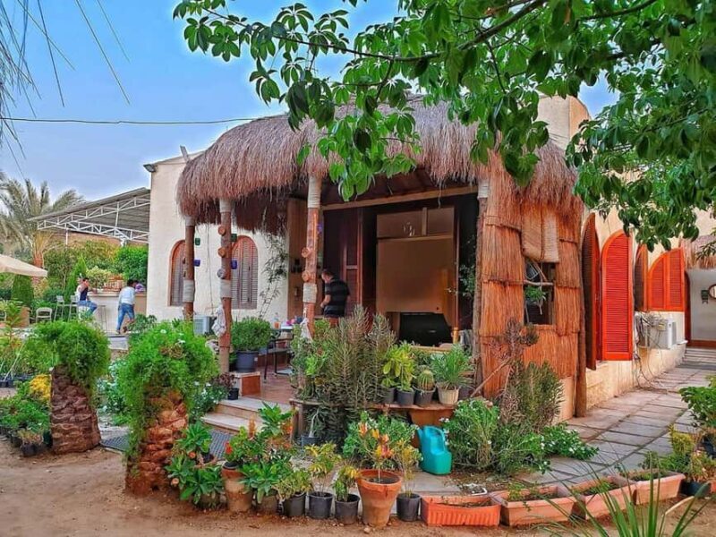Cairo: Oriental Breakfast (Fatir)or Lunch in arabian village - Introduction