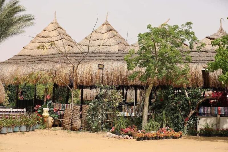Cairo: Oriental Breakfast (Fatir)or Lunch in arabian village - Practical Details and Value