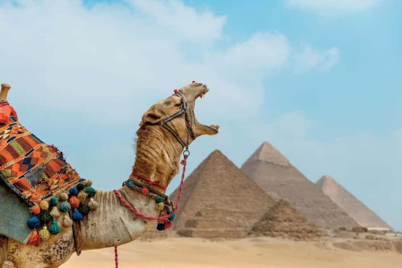 Cairo: Pyramids and Museum Tour with Sound and Light Show - Who Will Love This Tour?