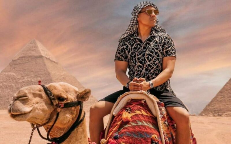 Cairo: Pyramids Camel Ride, Dinner and Sound & Light Show - Breaking Down the Experience