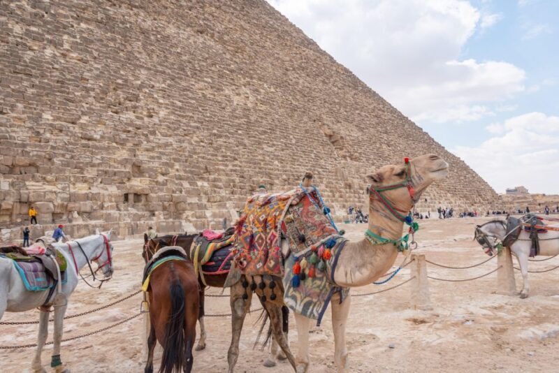 Cairo: Pyramids, Museum, Bazaar Luxury trip & Dinner Cruise - FAQ
