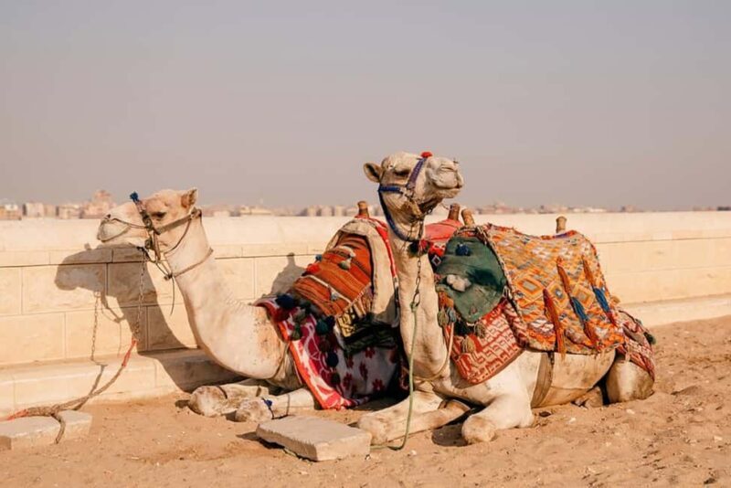 Cairo: Quad Bike Adventure at Giza Pyramids W/ Camel Ride - FAQ