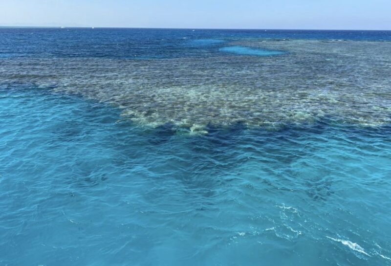 Cairo to Red Sea: VIP Yacht Cruise, Snorkeling & Lunch - Key Points