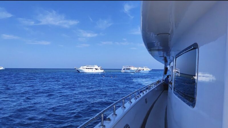 Cairo to Red Sea: VIP Yacht Cruise, Snorkeling & Lunch - Frequently Asked Questions