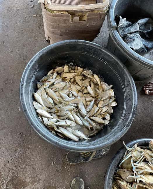 Calabar: City Tour - Final Thoughts