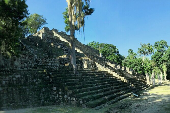 Calakmul, Ancient Maya City from Bacalar or Chetumal - Who Will Love This Tour?
