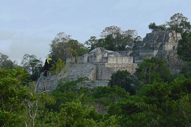 Calakmul, Ancient Maya City from Bacalar or Chetumal - Final Thoughts