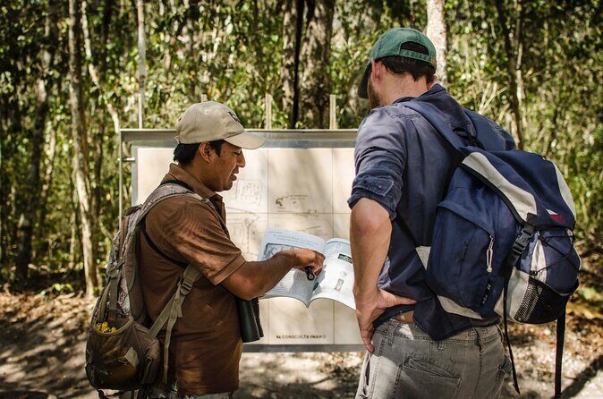 Calakmul Ancient Maya City Tour - From Campeche - The Sum Up: Who Will Love This Tour?
