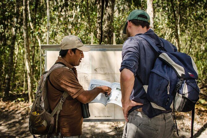 Calakmul Ancient Maya City Tour From Xpujil - Key Points