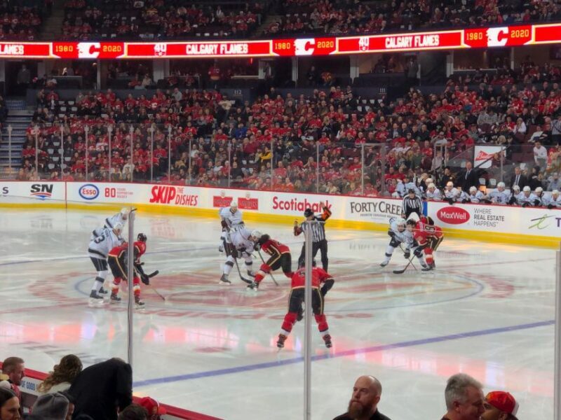 Calgary: Calgary Flames Ice Hockey Game Ticket - Why This Experience Offers Great Value