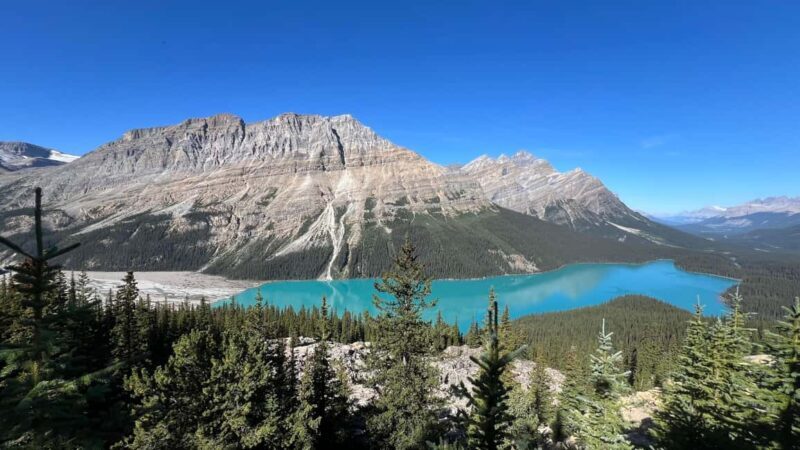 Calgary: Columbia Icefield & Bow Lake & Peyto Lake - Experience and Comfort