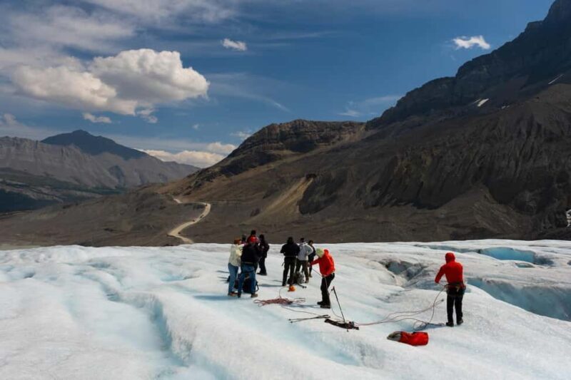 Calgary: Crowfoot, Bow-Peyto Lake, Marble Canyon Day Trip - Key Points