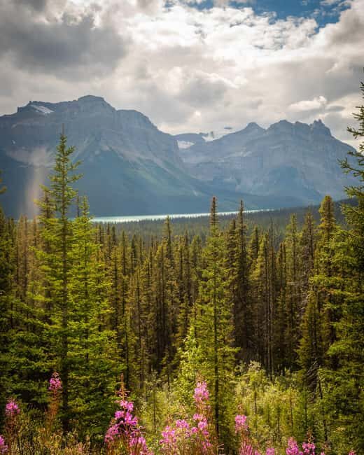 Calgary: Crowfoot, Bow-Peyto Lake, Marble Canyon Day Trip - FAQs