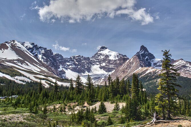 Calgary to Banff/Canmore PRIVATE Shuttle - Who Will Benefit Most?