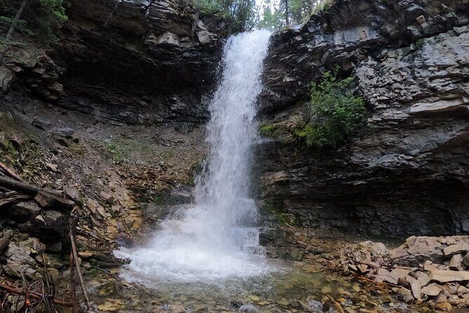 Calgary to the Rocky Mountains Private Day Tour - An In-Depth Look at the Calgary to the Rocky Mountains Private Day Tour