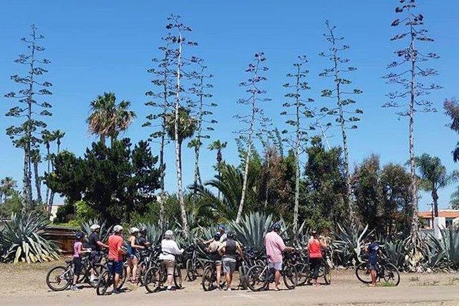 Cali Dreaming Electric Bike Tour of La Jolla and Pacific Beach - The Experience in Detail