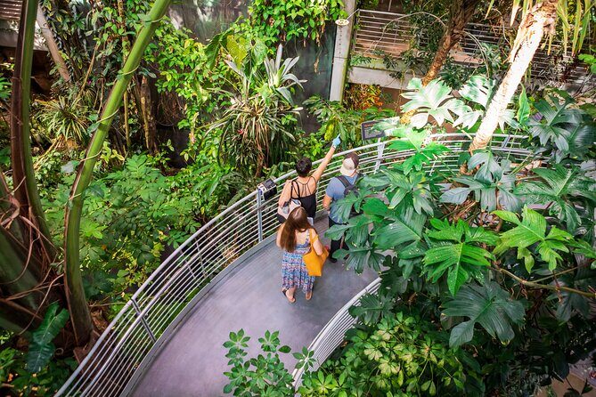 California Academy of Sciences General Admission Ticket - Duration and How to Maximize Your Visit