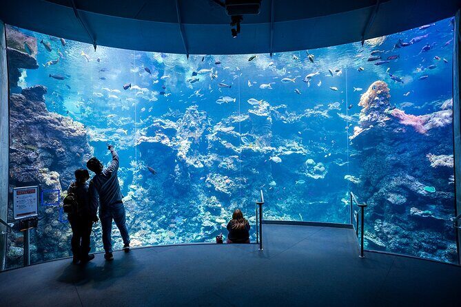 California Academy of Sciences General Admission Ticket - Accessibility and Location