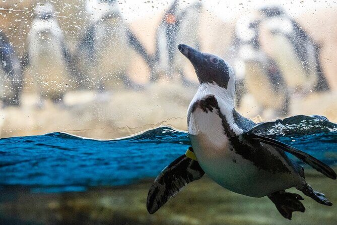 California Academy of Sciences General Admission Ticket - Final Thoughts: Who Should Visit?