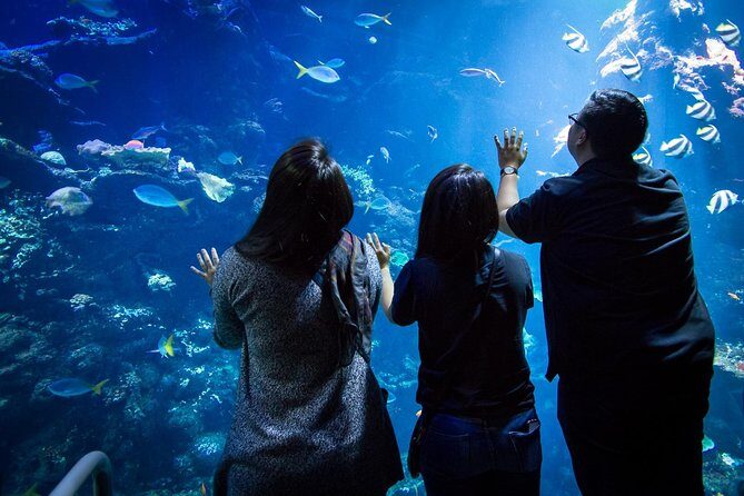 California Academy of Sciences NightLife Admission Ticket - Final Words