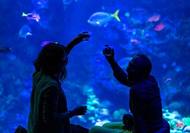 California Academy of Sciences NightLife Plus Admission - The Exhibits and Interactive Elements