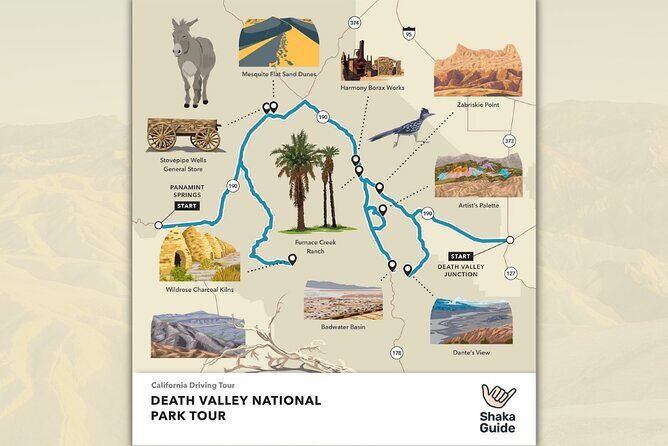 California Adventure Bundle: 8 Self-Guided Audio Tours - Day 4: Joshua Tree’s Unique Landscape and Flora