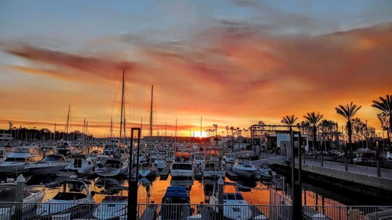 California Coastline Scenic Wildlife Photography Tour - Final Thoughts