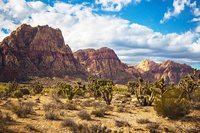 California desert, Red Rock Sign and Seven Magic Mts - An In-Depth Look at the Experience