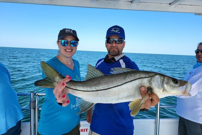 Calm Bay Fishing - The Sum Up