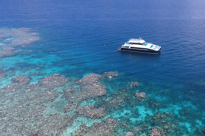 Calypso Outer Great Barrier Reef Cruise from Port Douglas - Why This Tour Stands Out