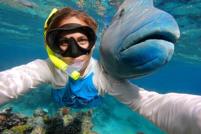 Calypso Outer Great Barrier Reef Cruise from Port Douglas - Who Will Love This Tour?
