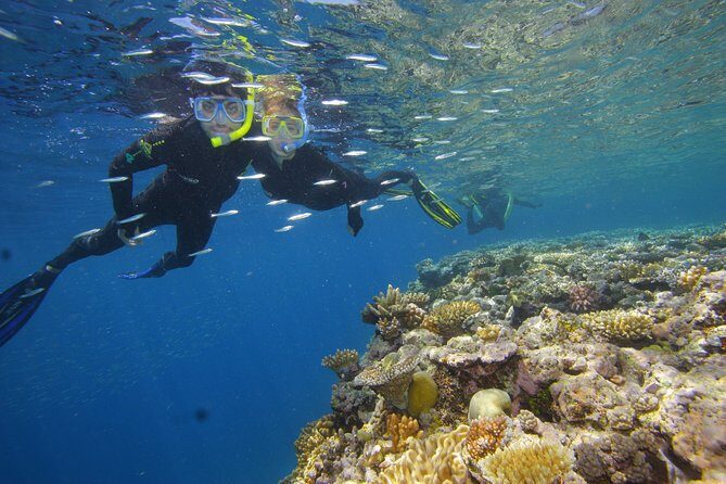 Calypso Outer Great Barrier Reef Cruise from Port Douglas - FAQ