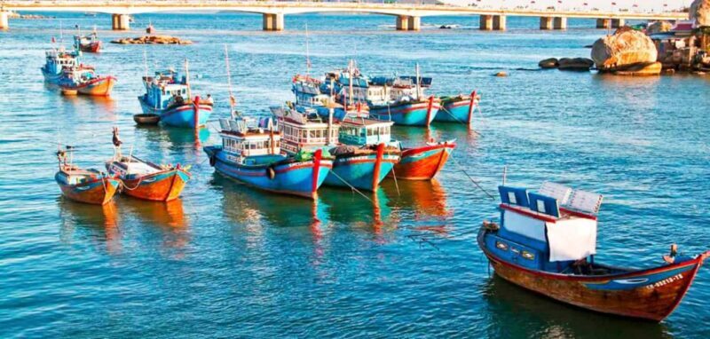 Cam Ranh Port Shore Excursion Nha Trang City Tour - Key Points